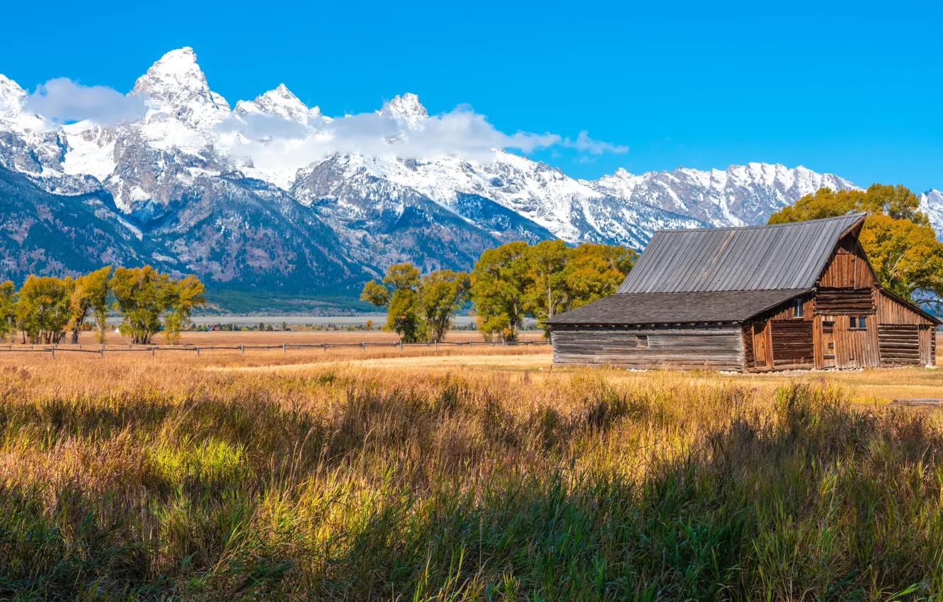 Фото обои поле, горы, дом, США, Гранд-Титон