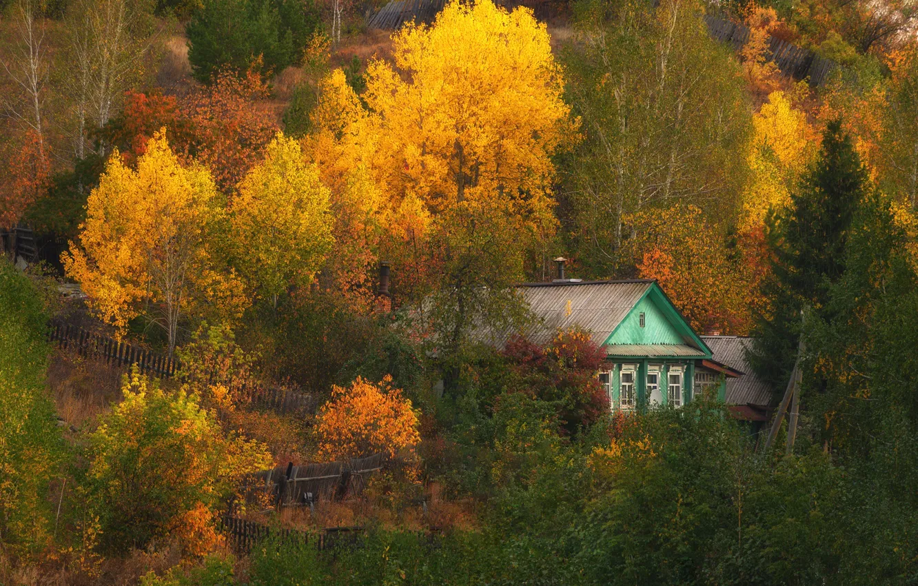 Фото обои осень, лес, дома, домик, золотая осень