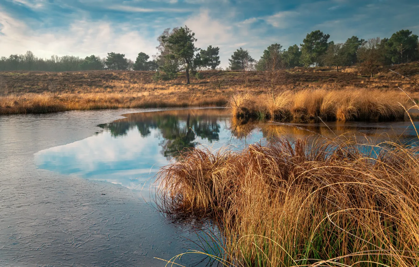 Фото обои осень, природа, озеро