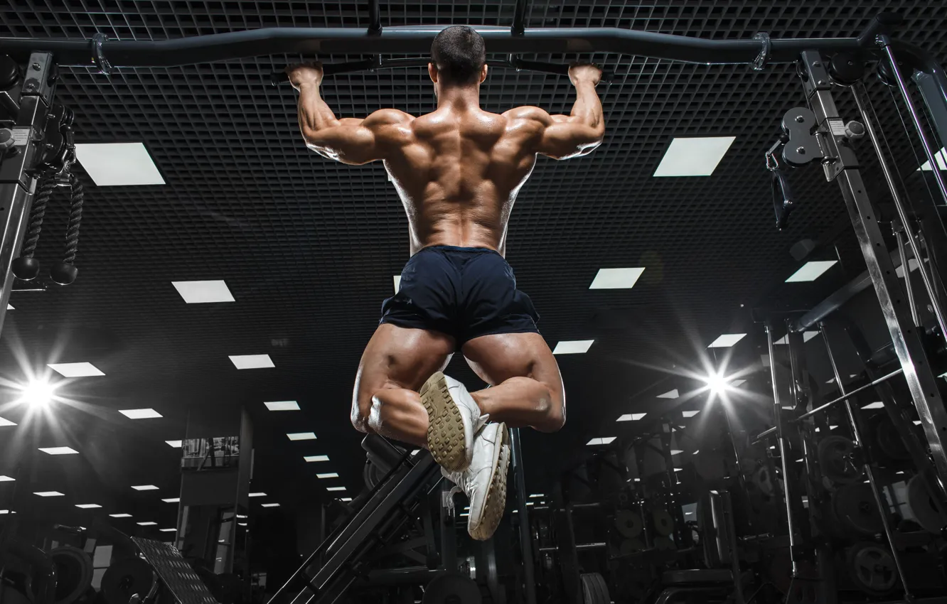 Фото обои Спина, muscle, мышцы, Back, турник, workout, тренажерный зал, gym