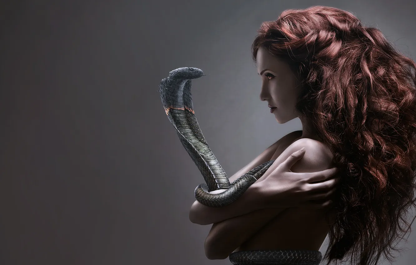 Фото обои взгляд, девушка, волосы, змея, рыжая, cobra, гипноз
