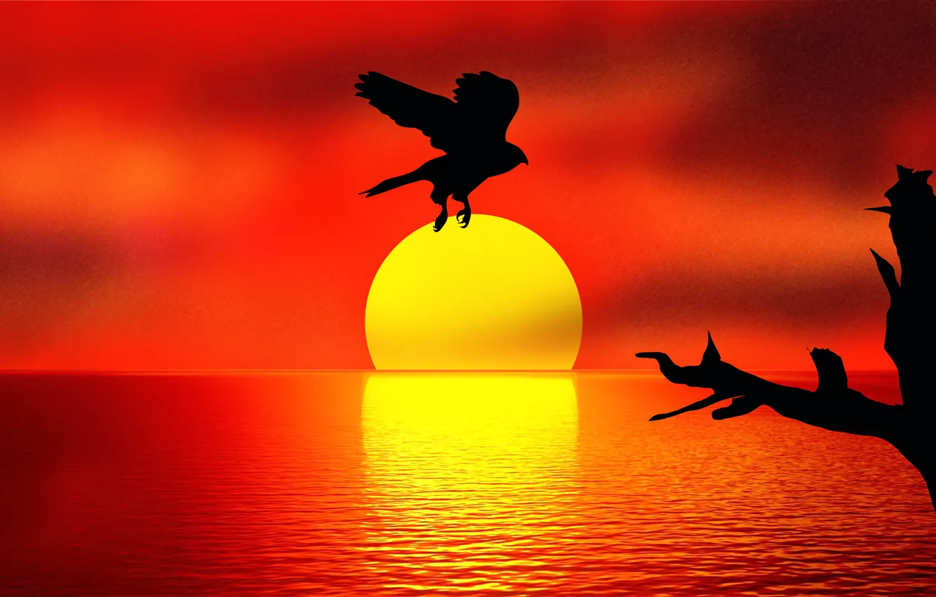Фото обои закат, отражение, птица, Holding the SUN