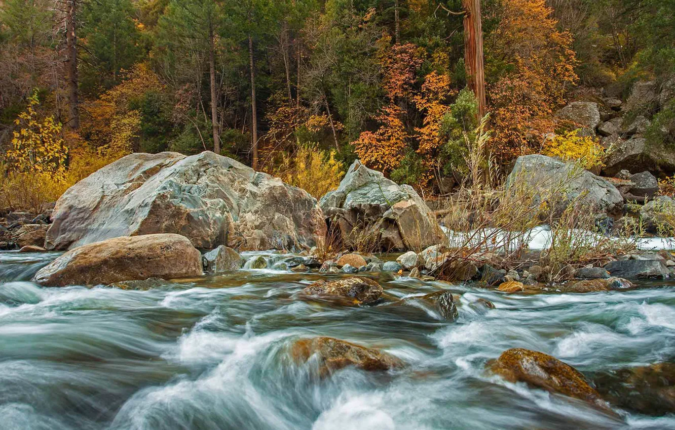 Фото обои осень, камни, США, Йосемити, река Мерсед
