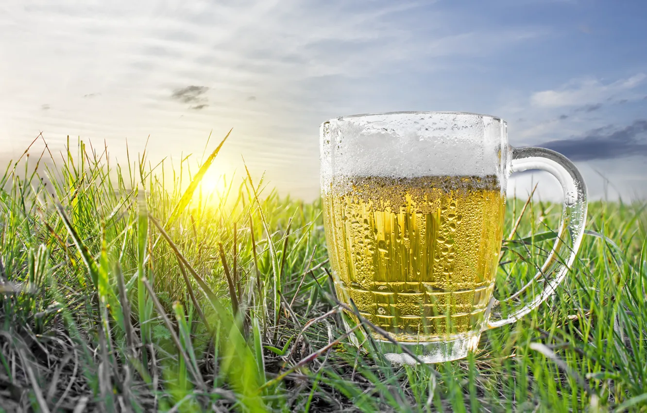 Фото обои поле, небо, трава, солнце, рассвет, пиво, кружка