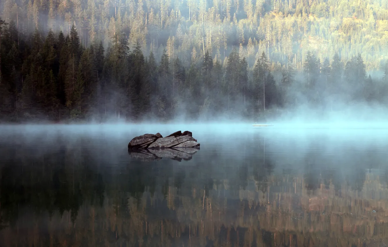 Фото обои лес, вода, солнце, деревья, туман, озеро, отражение, камни