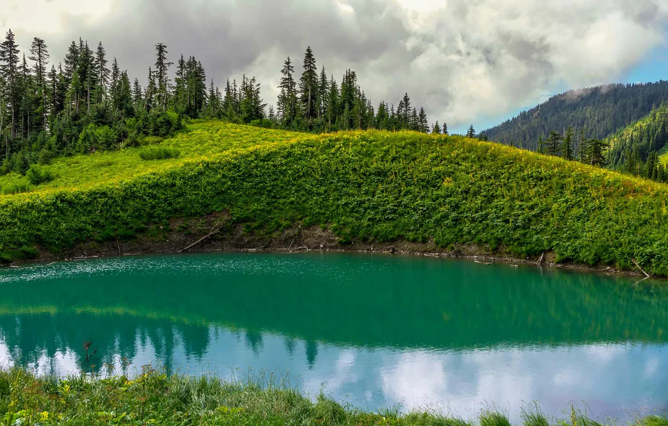 Фото обои трава, деревья, горы, озеро, Канада, Британская Колумбия, Чилиуок, Spoon Lake