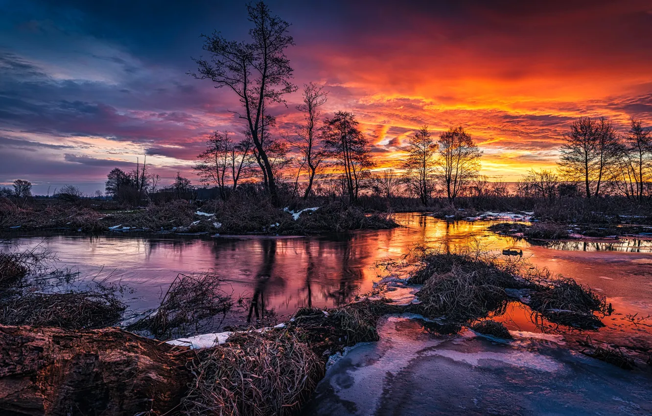 Фото обои небо, деревья, закат, природа, река, весна, Tomczak Michał