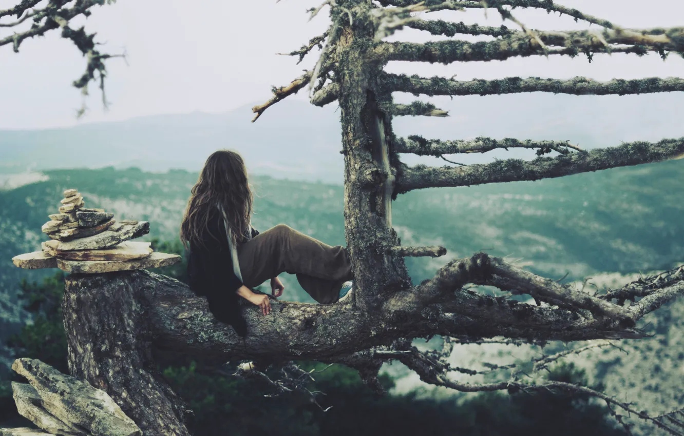 Фото обои девушка, природа, дерево, настроение, вид