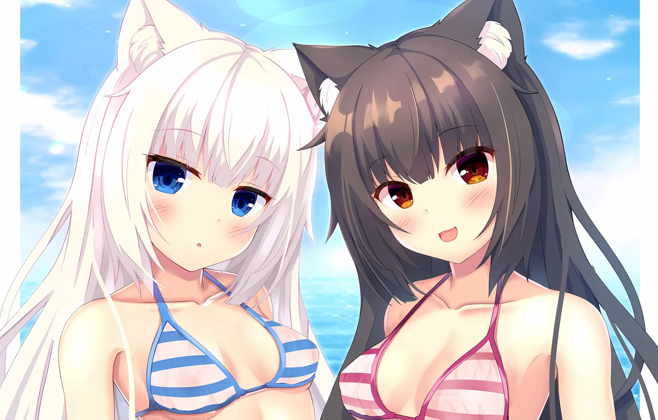 Фото обои sexy, cleavage, beach, long hair, sea, girls, boobs, animal ears