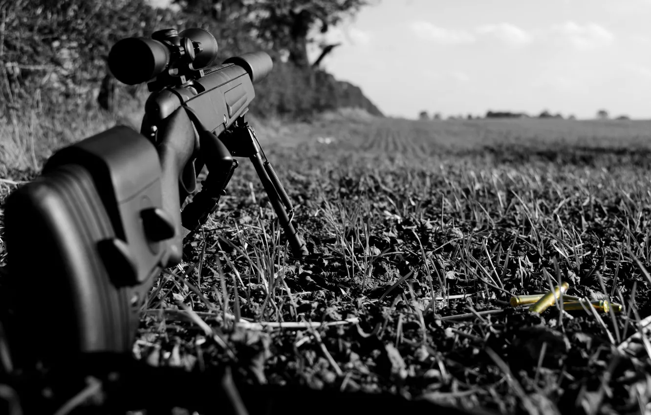 Фото обои трава, винтовка, гильзы, снайперская, Steyr Scout