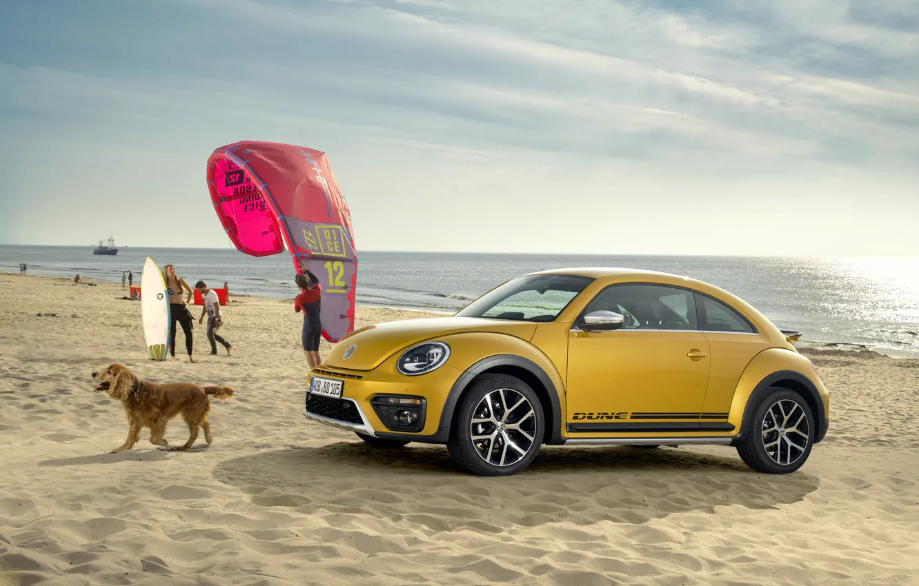 Фото обои жук, Volkswagen, фольксваген, Beetle