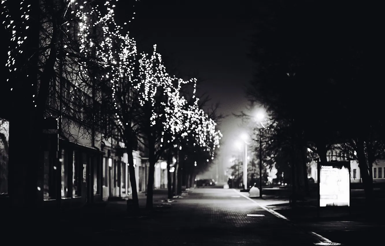 Фото обои зима, дорога, деревья, город, огни, улица, черно-белое, гирлянды
