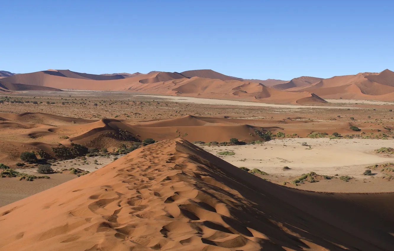 Фото обои Небо, Песок, Фото, Горизонт, Пустыня, Панорама, Кусты, Намибия