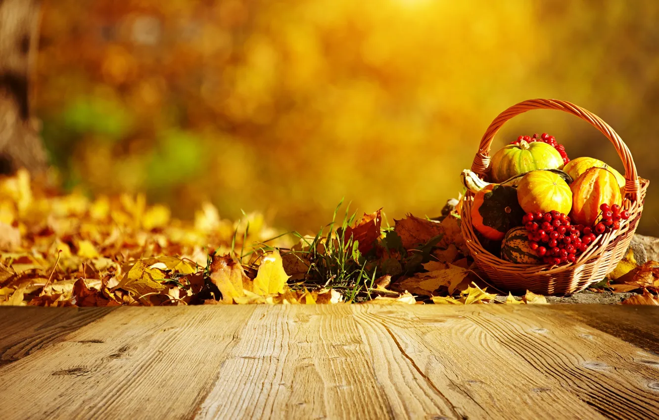 Фото обои осень, корзина, тыквы, листики, рябина