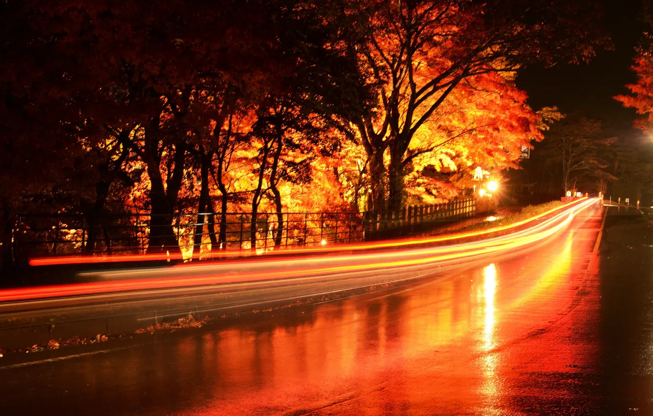 Фото обои дорога, деревья, ночь, огни, после дождя