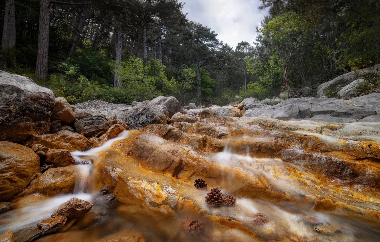 Фото обои лес, пейзаж, природа, река, камни, водопад, шишки, Крым