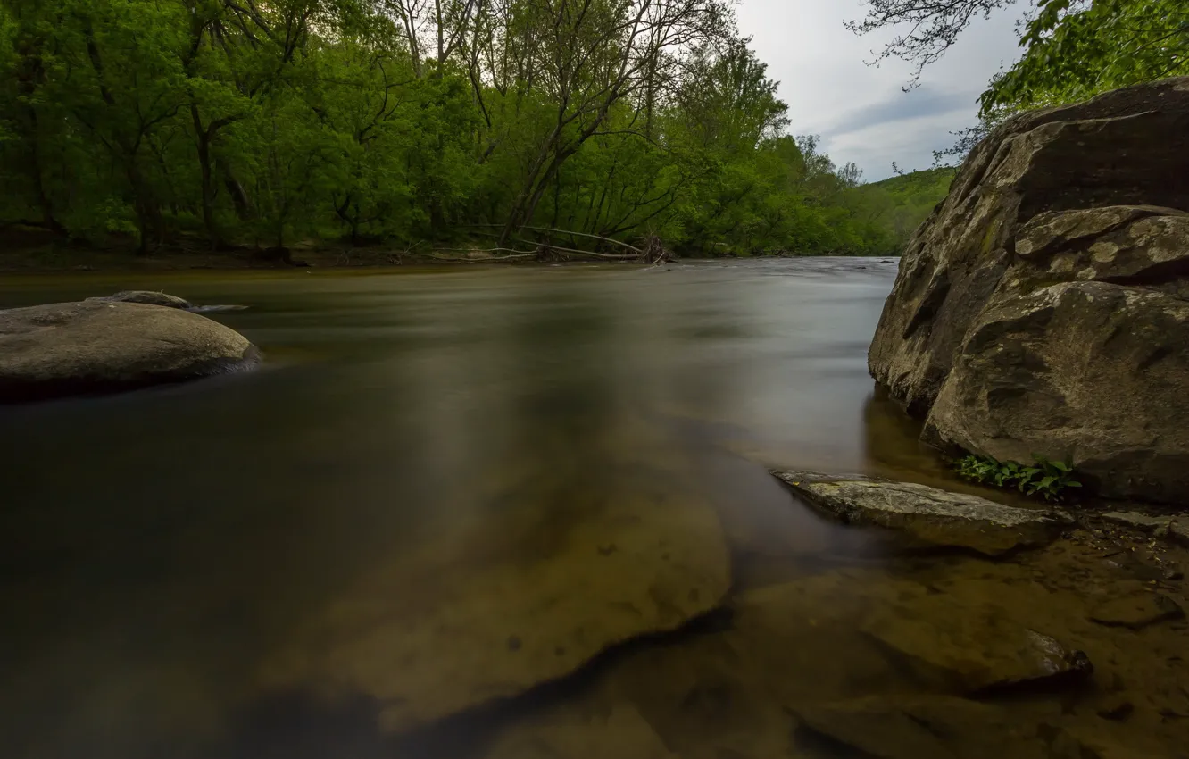 Фото обои лес, река, камни