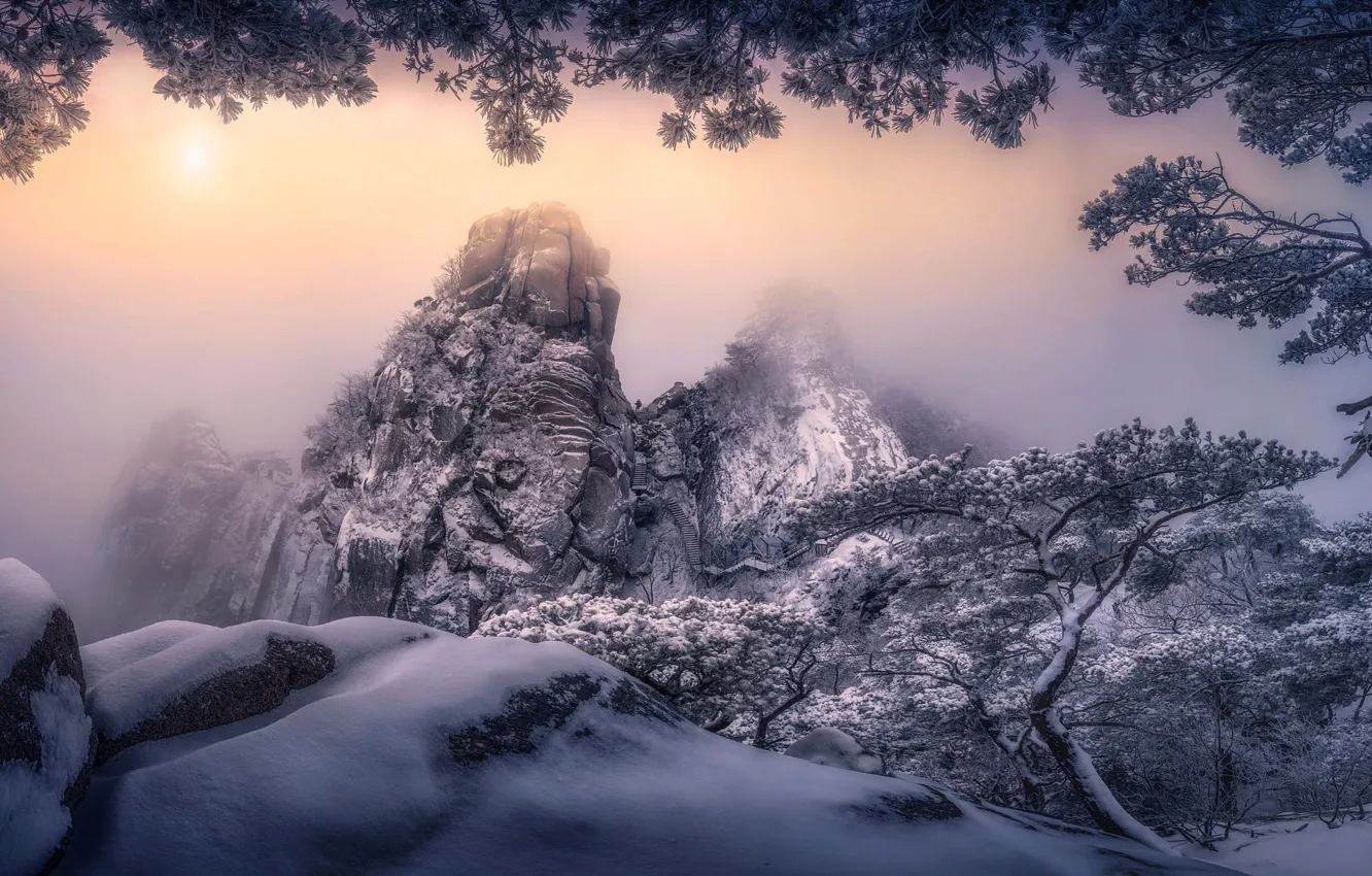 Фото обои зима, иней, небо, снег, горы, дерево, скалы, вид