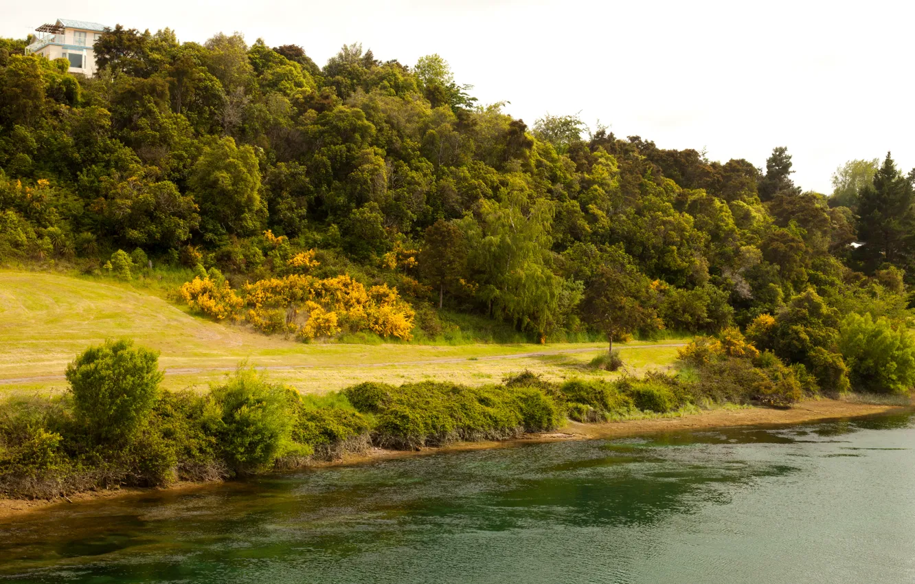 Фото обои дорога, река, берег, склон, Новая Зеландия, Waikato River