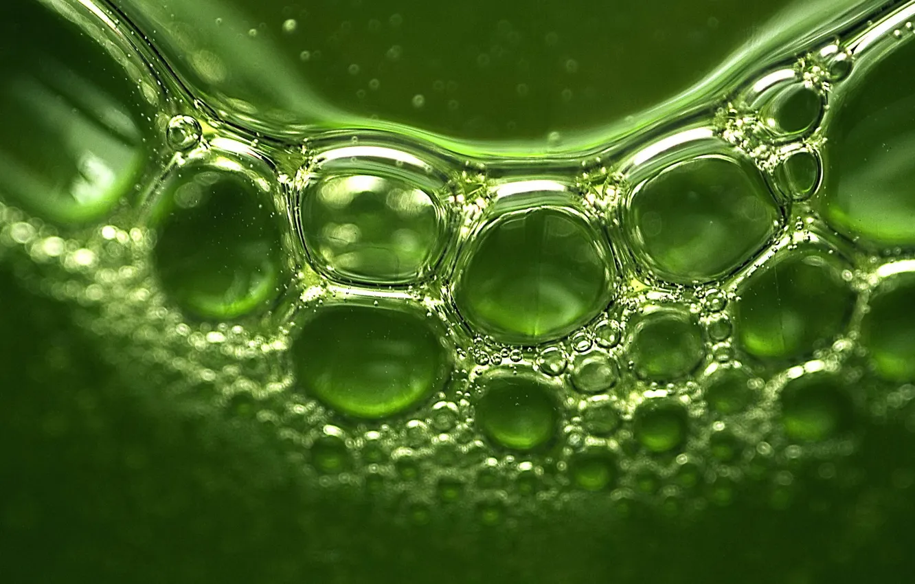 Фото обои зелень, отражение, пузыри