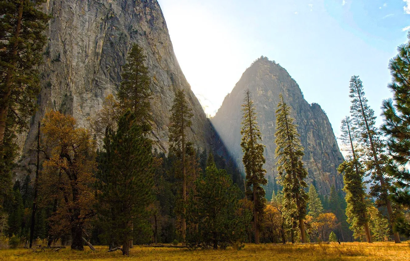 Фото обои Apple, Yosemite, OS X, 10.10