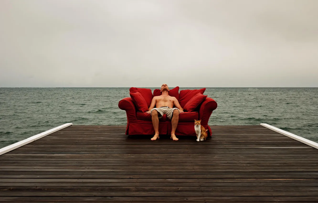 Фото обои гроза, кот, диван, горизонт, пирс, мужчина, моря, серые облака