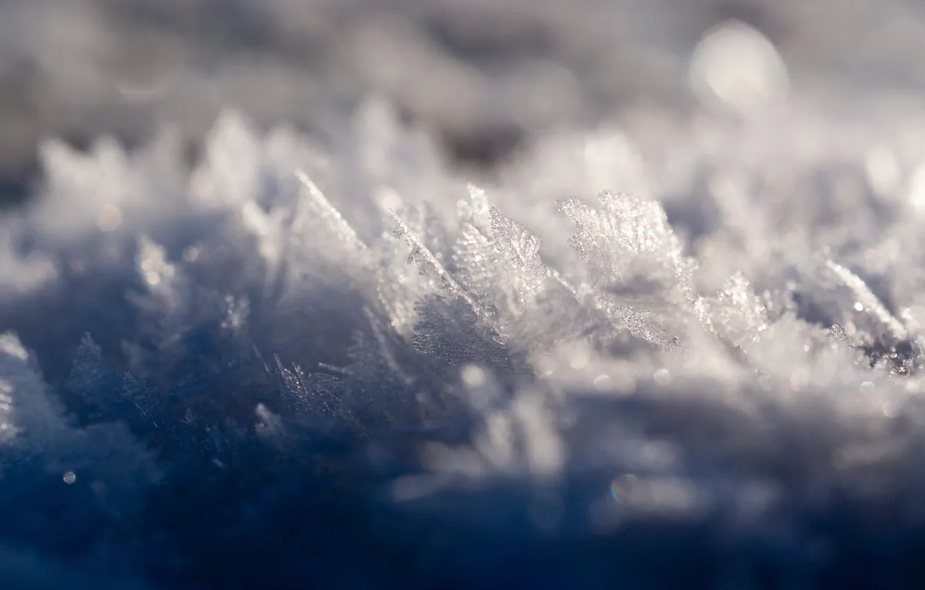 Фото обои зима, макро, снег, мороз, кристаллы