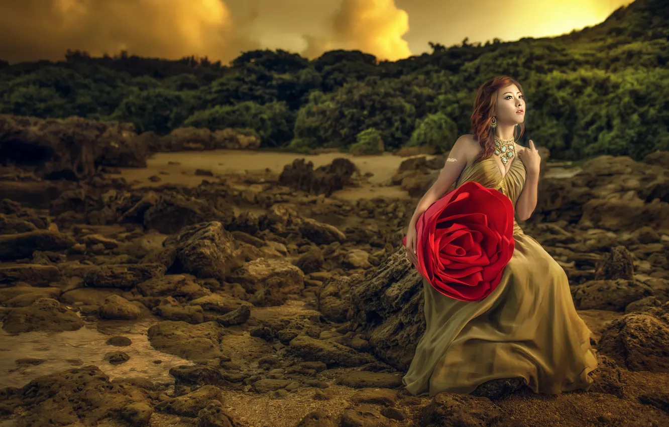 Фото обои цветок, девушка, природа, модель, роза, платье, азиатка