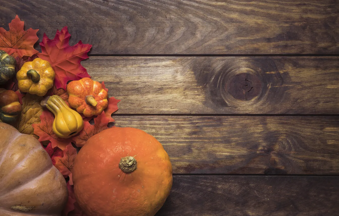 Фото обои осень, листья, фон, дерево, доски, colorful, тыква, клен