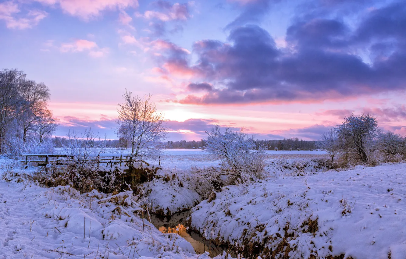 Фото обои зима, поле, снег, деревья, мост, рассвет, утро, деревня