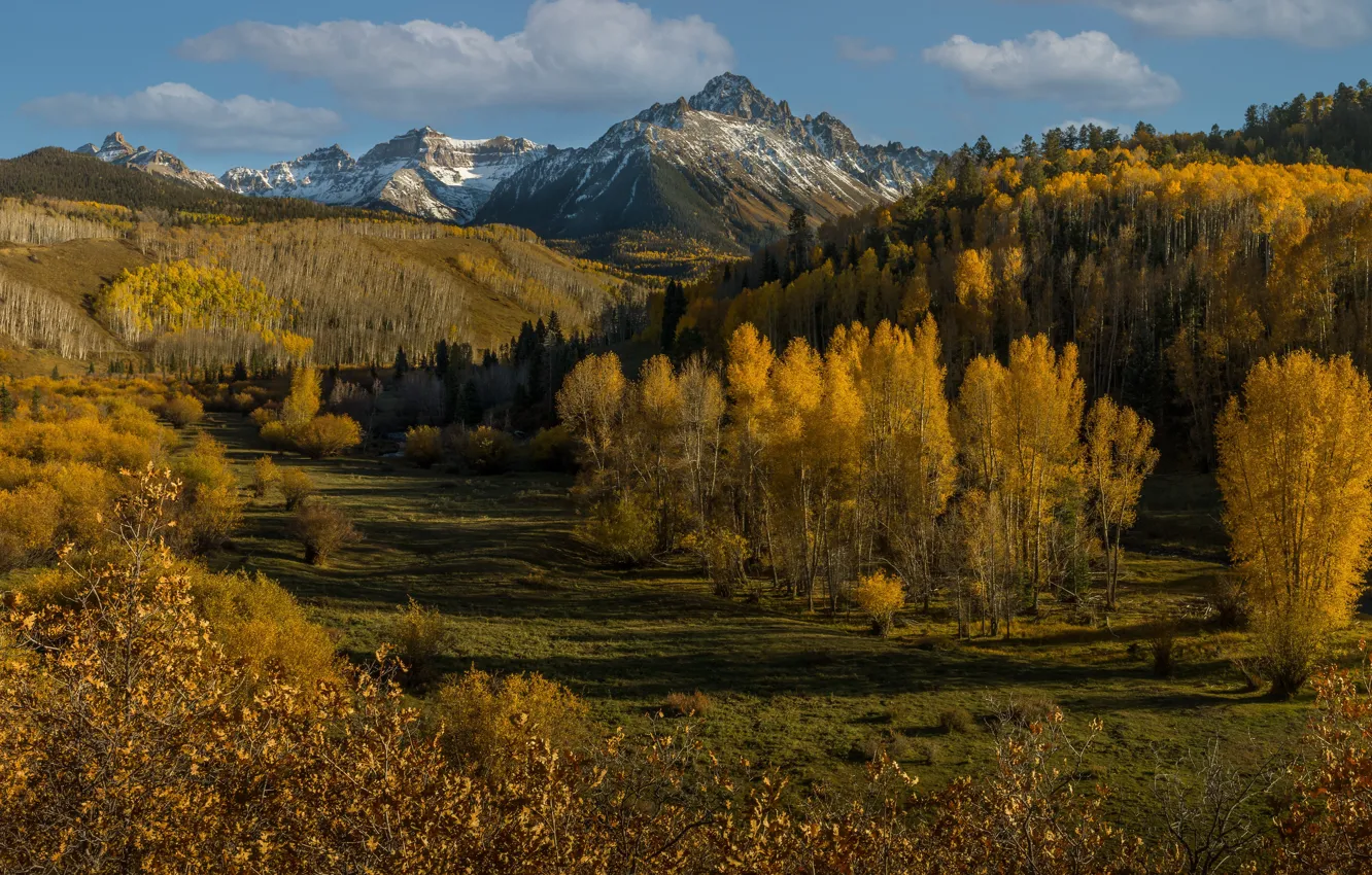 Фото обои осень, лес, деревья, горы, Колорадо, Colorado, San Juan Mountains, Горы Сан-Хуан