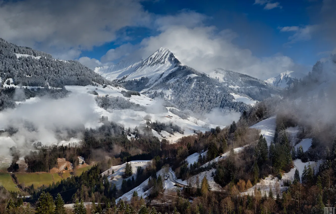 Фото обои зима, облака, горы, туман, Альпы, леса