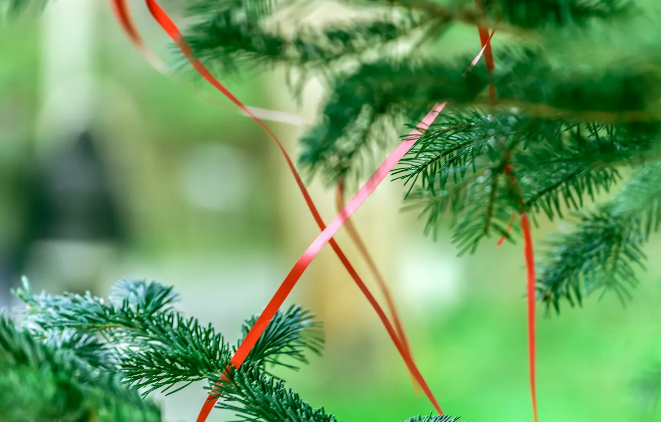 Фото обои праздник, елка, новый год, ленточка
