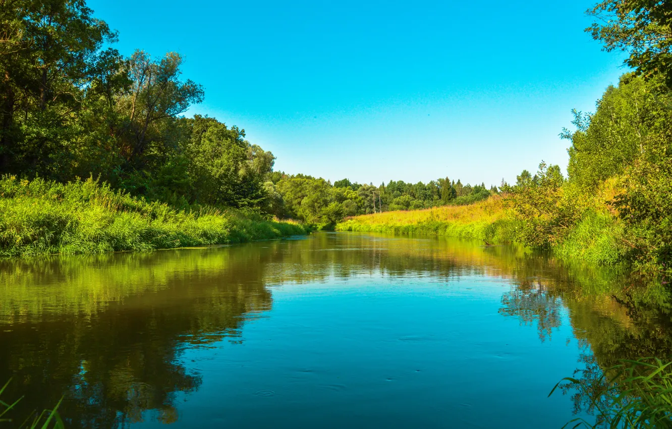 Фото обои Природа, Россия, Nature, Russia, Река Воря, River Vorya