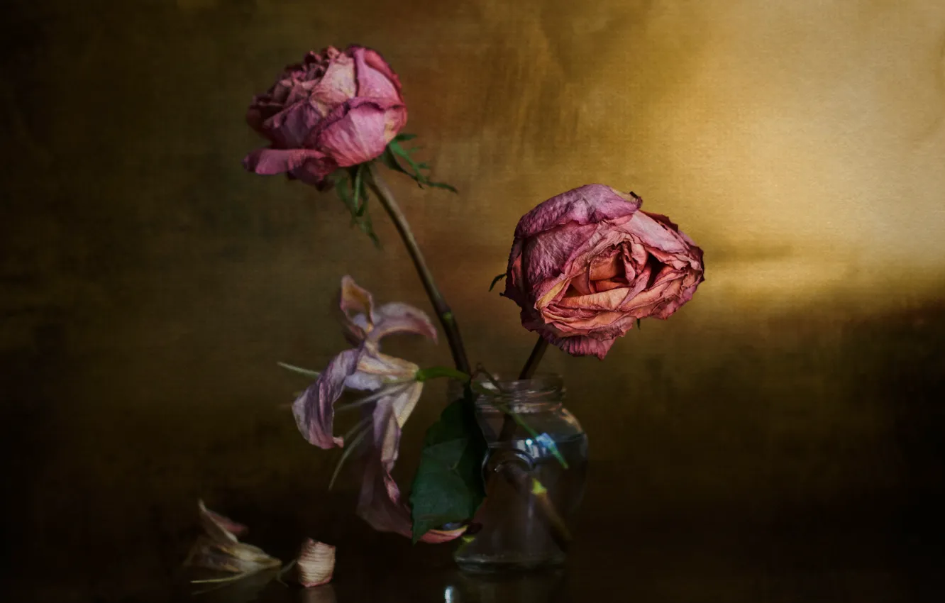 Фото обои розы, букет, the elderly, ✿