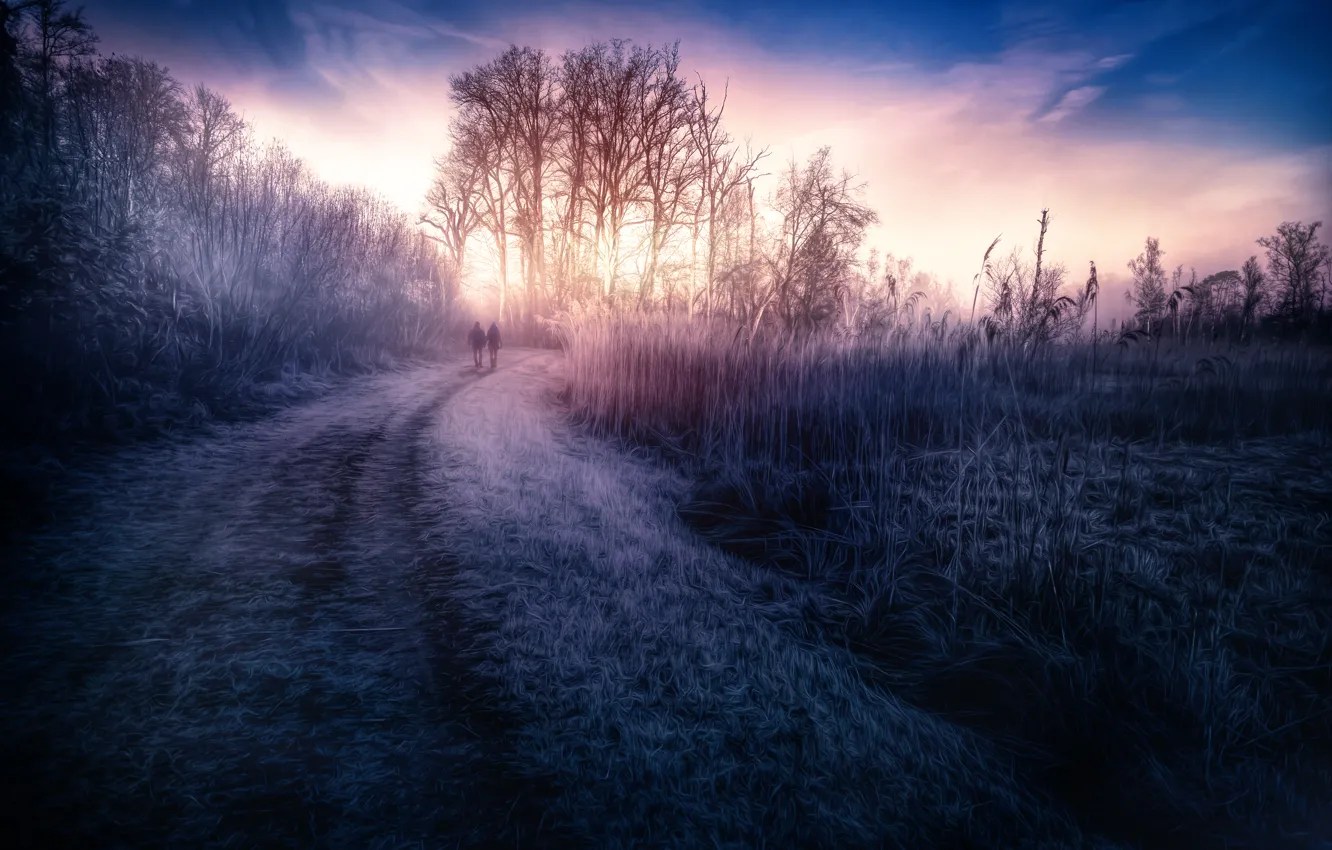 Фото обои дорога, небо, трава, обработка, At dawn