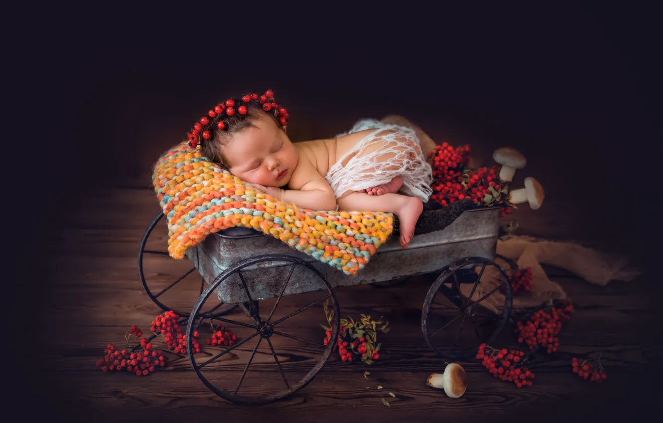 Фото обои ягоды, грибы, сон, девочка, тележка, венок, младенец, рябина