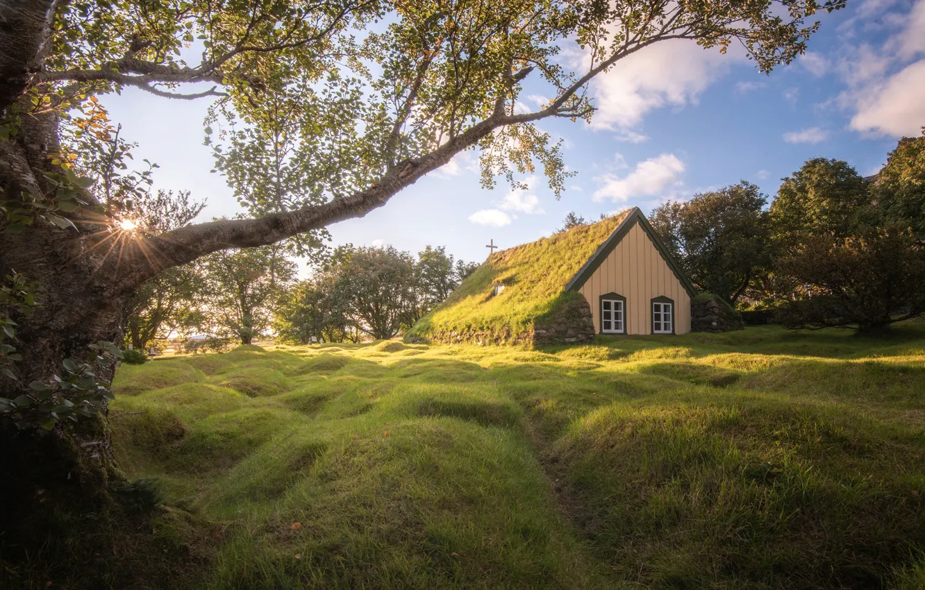 Фото обои трава, деревья, церковь, Исландия, Iceland, Hof, Hofskirkja Church, Хоф