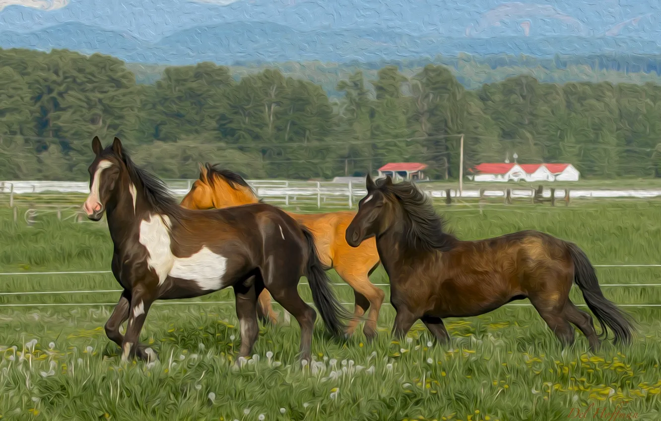 Фото обои трава, кони, лошади, загон, гривы