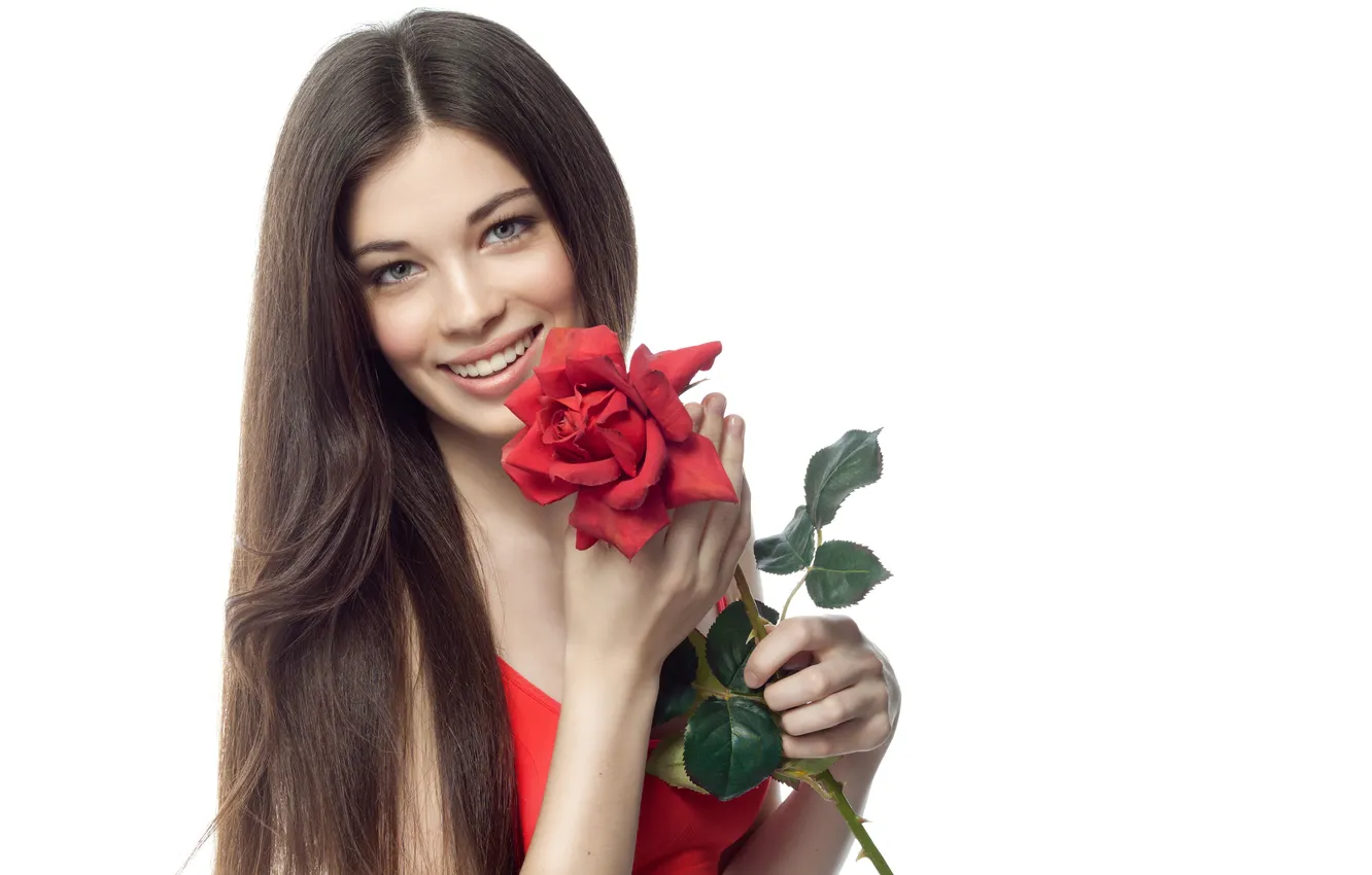 Фото обои белый, цветок, взгляд, девушка, улыбка, фон, роза