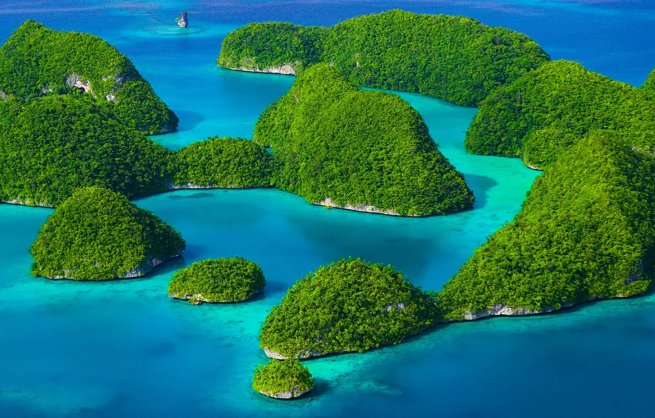 Фото обои море, зелень, острова, Rock island Palau