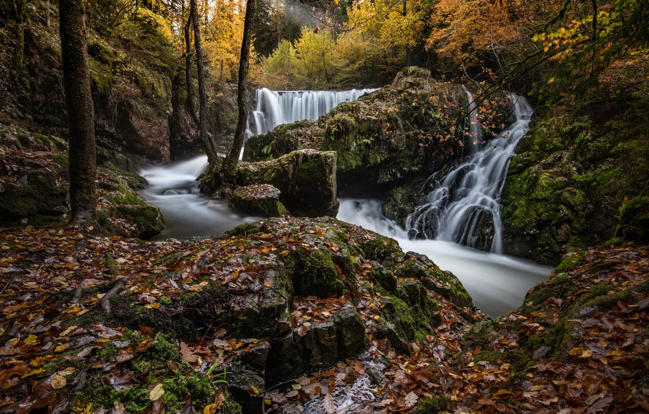 Фото обои осень, лес, деревья, река, ручей, водопады, каскад, опавшие листья