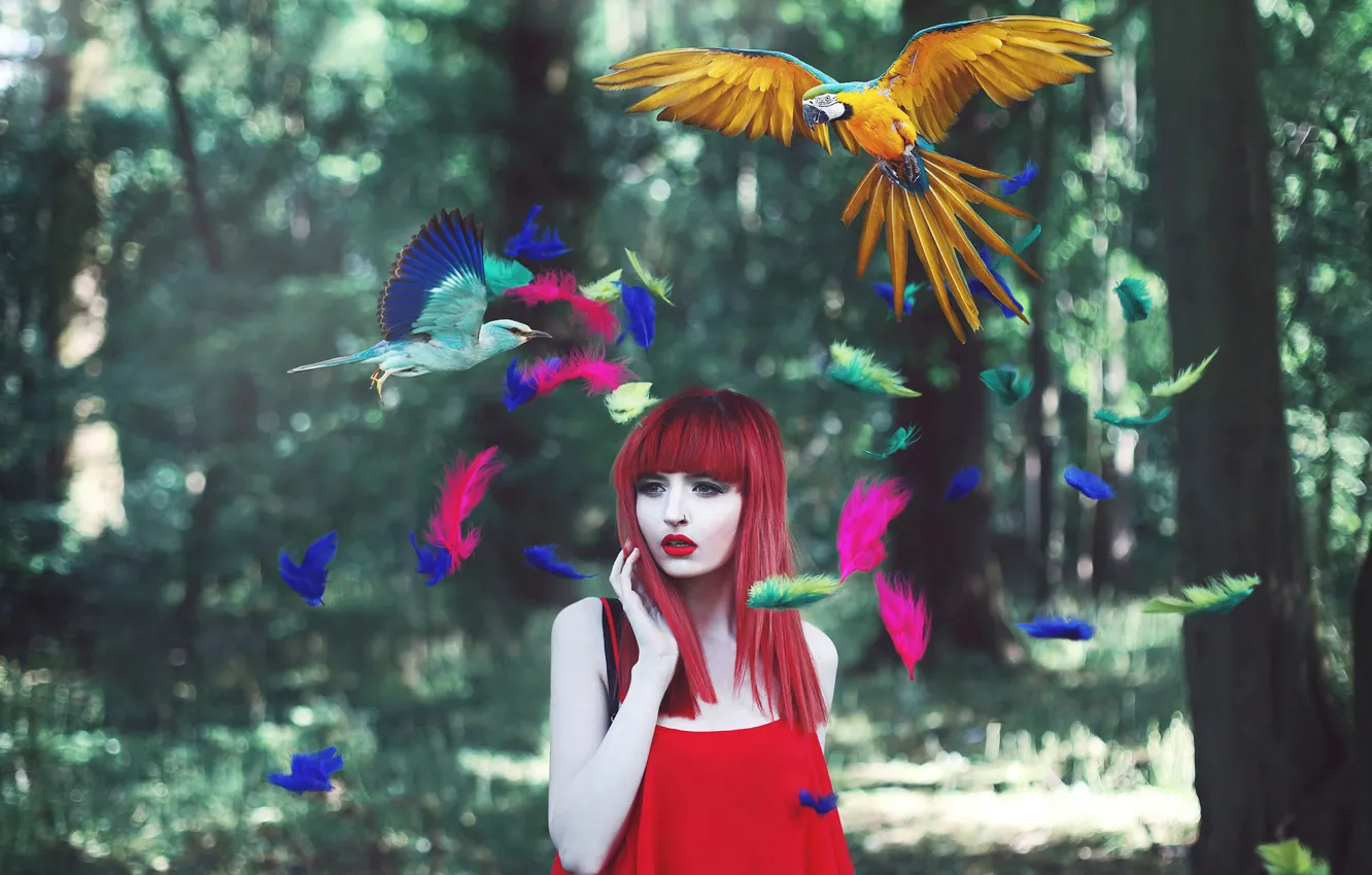 Фото обои девушка, птицы, перья, разноцветные