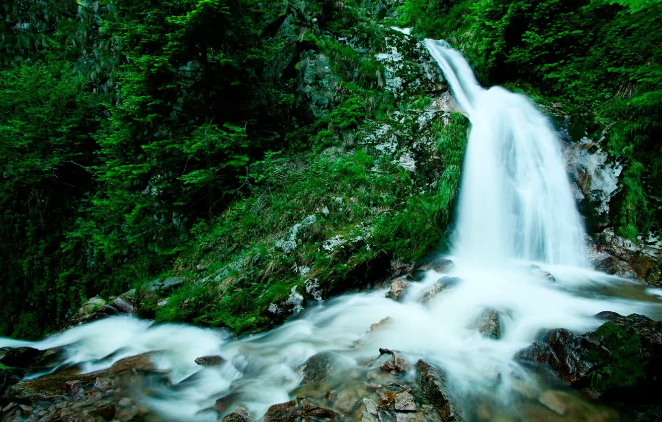 Фото обои зелень, вода, камни, Водопад