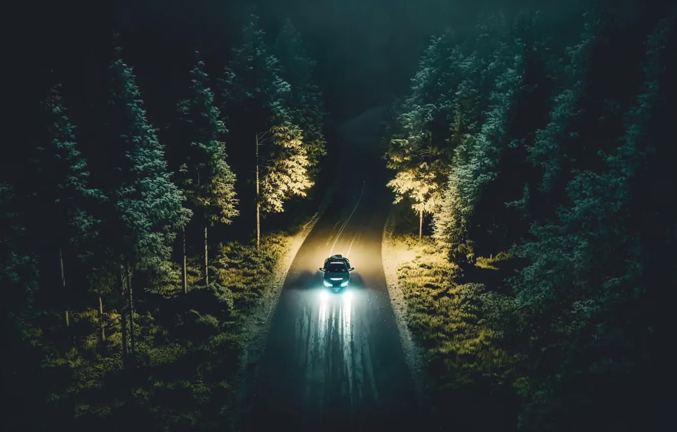 Фото обои car, forest, road, night, driving