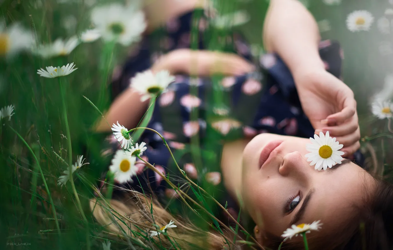 Фото обои взгляд, девушка, цветы, лицо, настроение, ромашки, Денис Ланкин