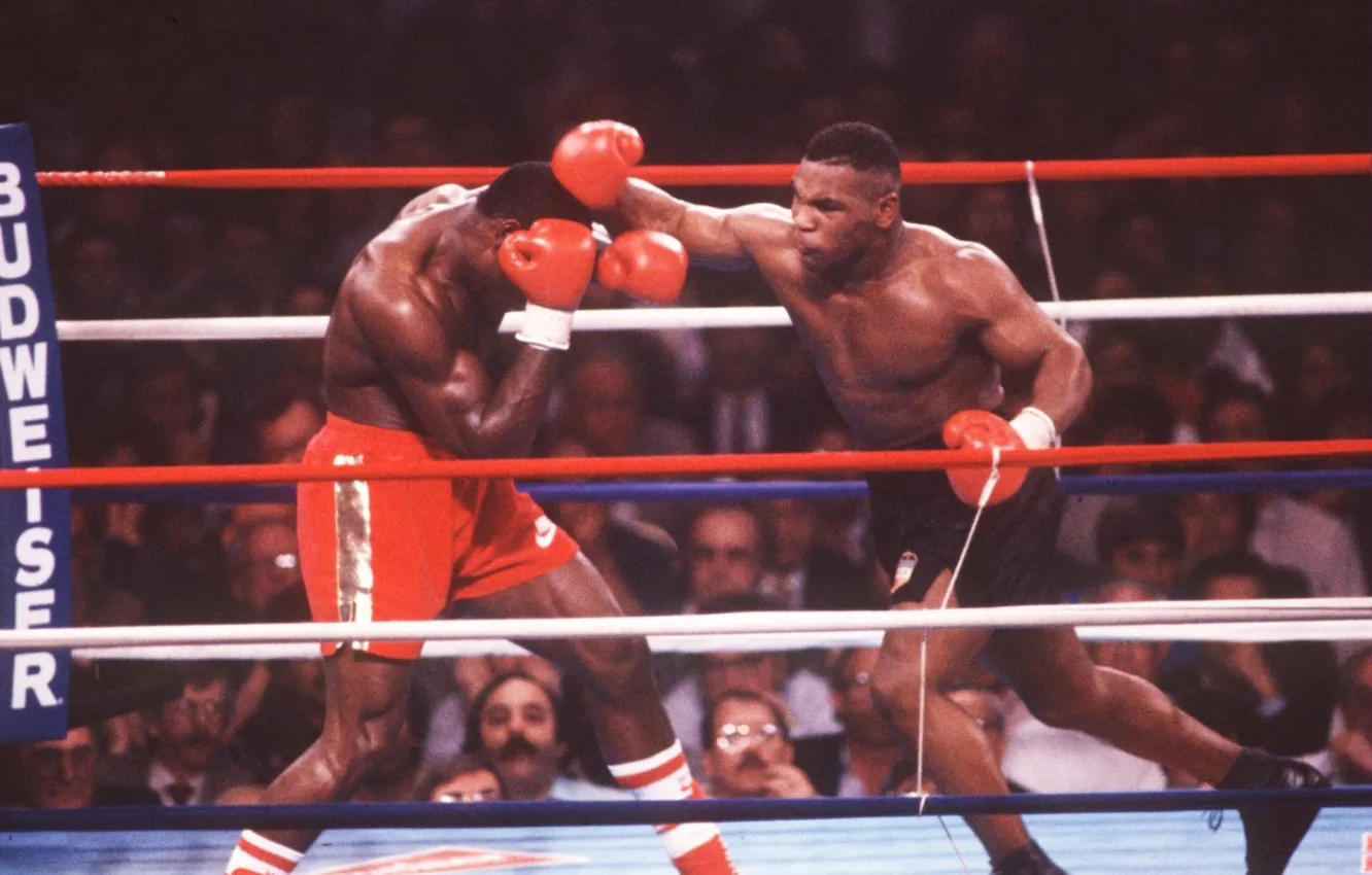 Фото обои Бокс, Майк Тайсон, Tyson