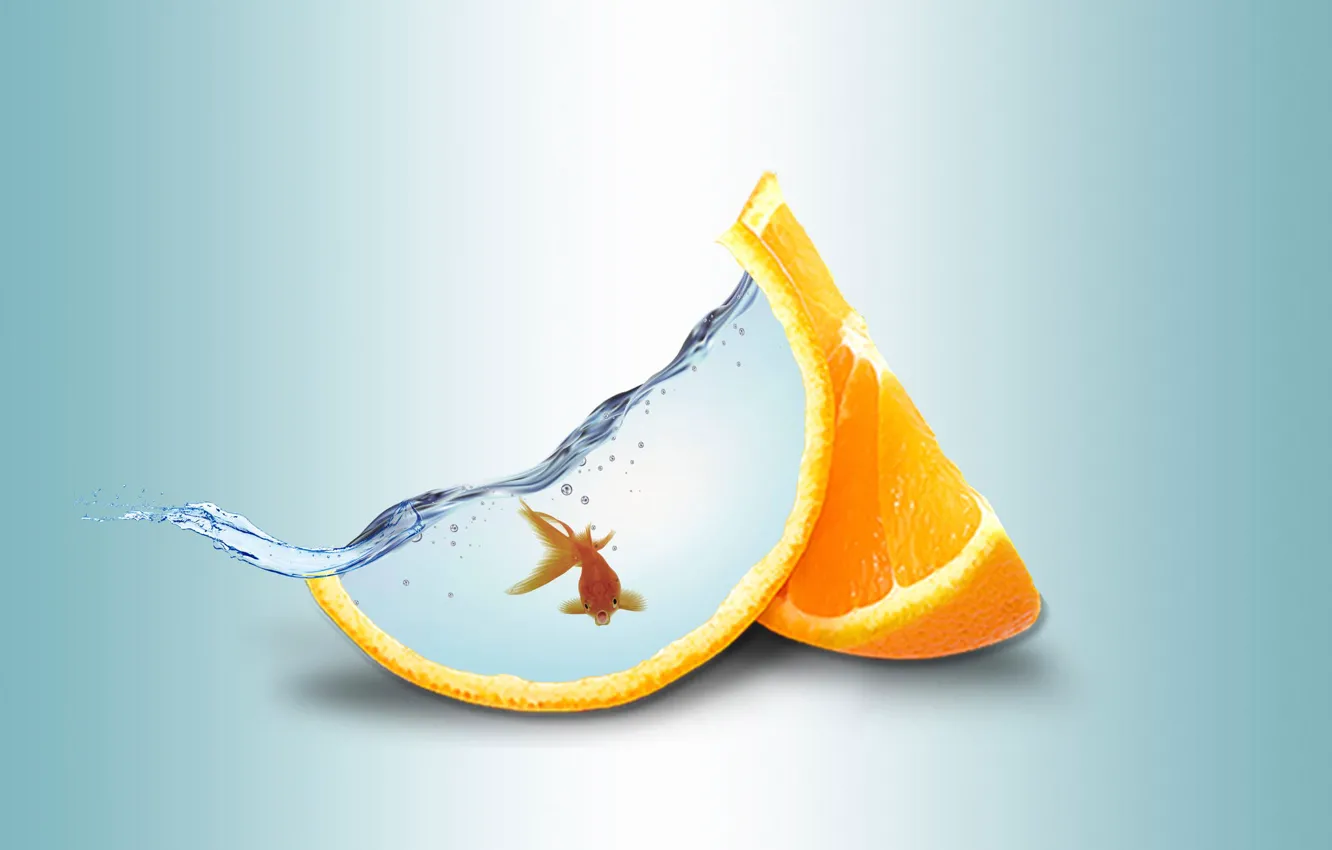 Фото обои вода, апельсин, золотая рыбка