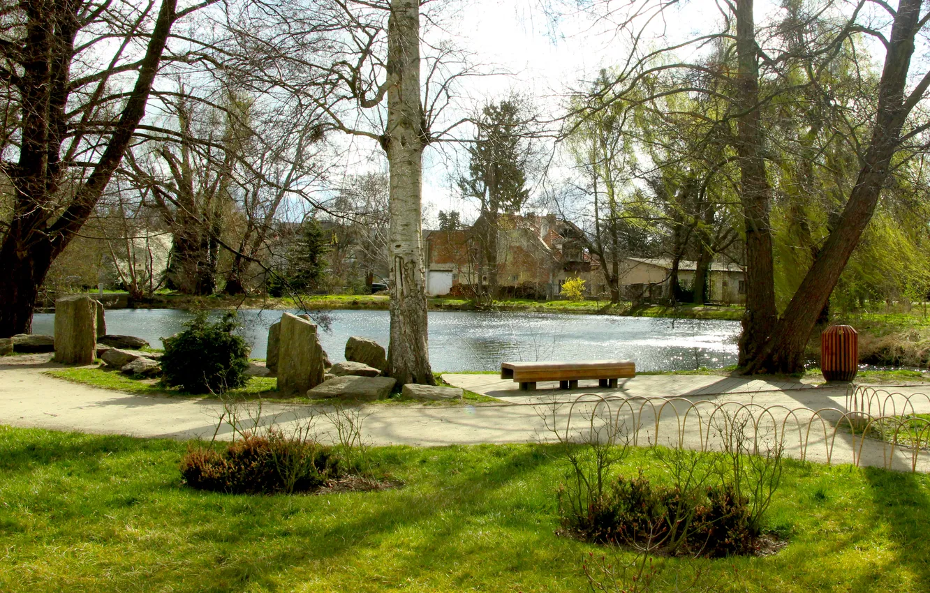 Фото обои park, bench, pond