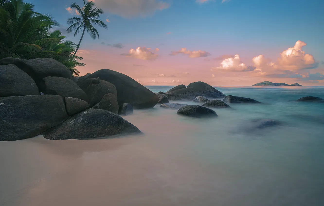 Фото обои песок, море, пляж, лето, закат, тропики, пальмы